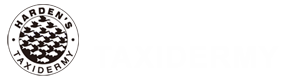 Harden's Taxidermy