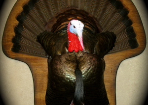Turkey Breast Display